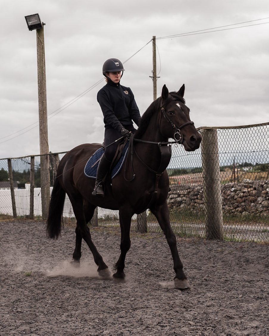 Horse Trekking